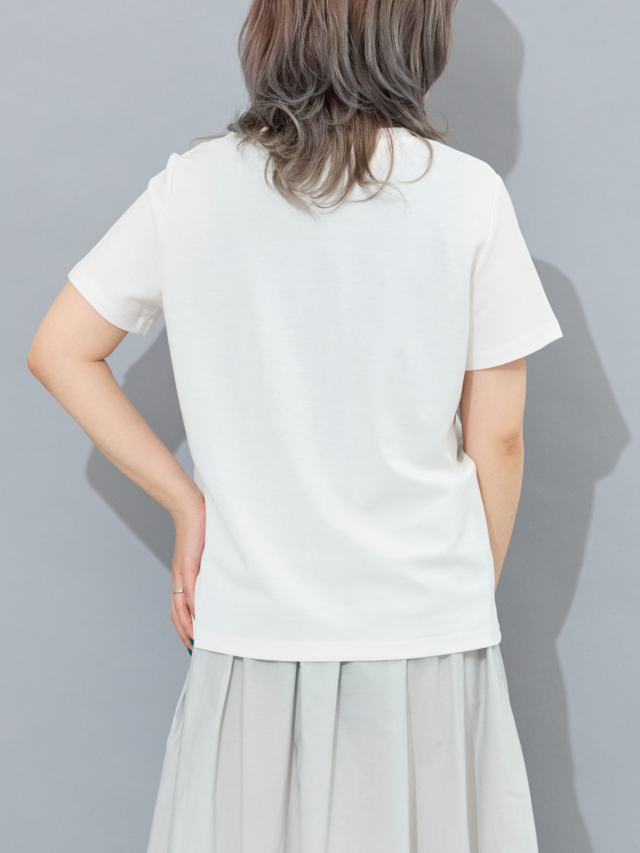 A26136