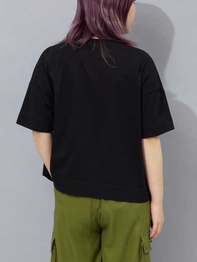 C62133HW