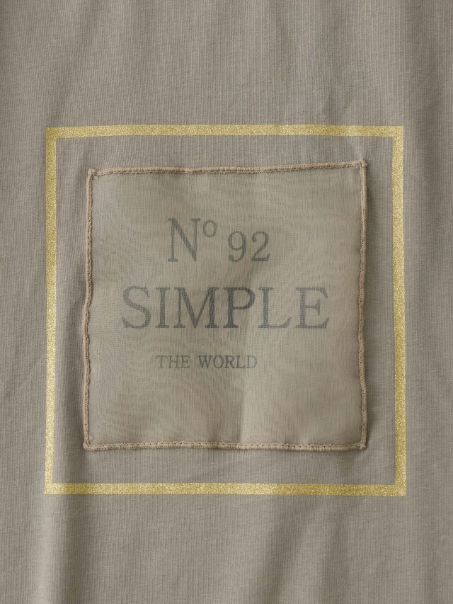 P16516