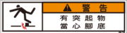 ZW-855-SS      その他(70×19)