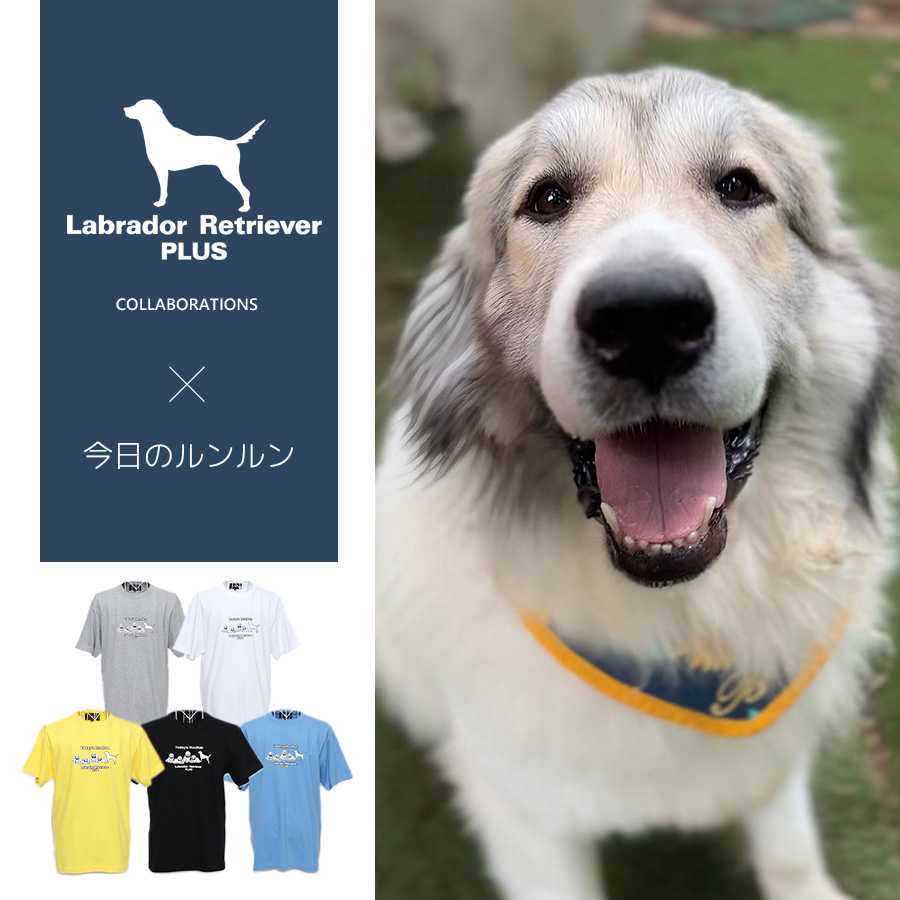 受注期間限定！今日のルンルンコラボ企画！コラボ半袖Tシャツ◆今日のルンルン