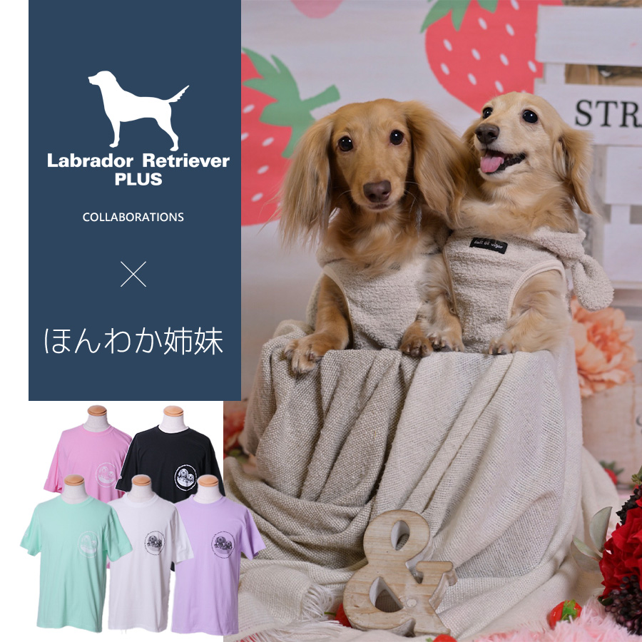 受注期間限定！ほんわか姉妹コラボ企画！コラボ半袖Tシャツ◆ほんわか姉妹
