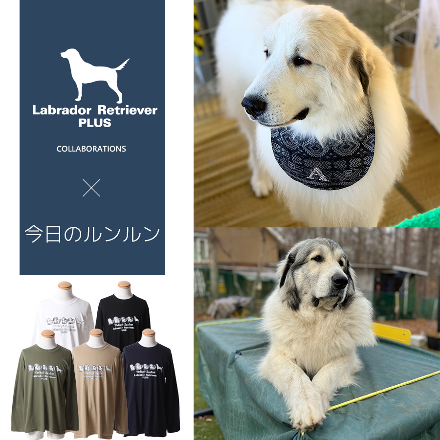 受注期間限定！今日のルンルンコラボ企画第2弾！コラボ長袖Tシャツ◆今日のルンルン