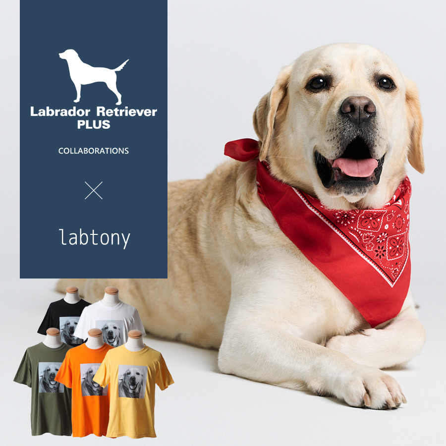 受注期間限定！labtonyコラボ企画！コラボ半袖Tシャツ◆labtony