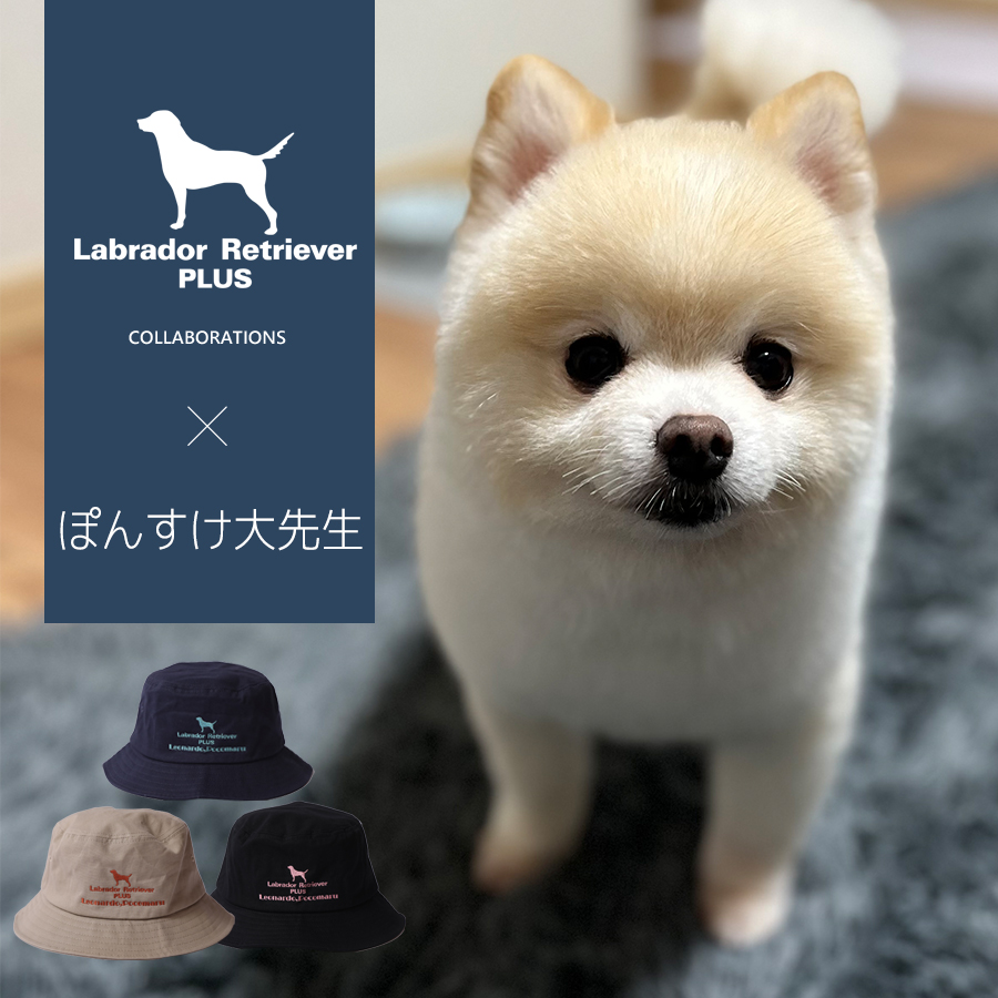 受注期間限定！ぽんすけ大先生コラボ企画！コラボバケットハット◆ぽんすけ大先生