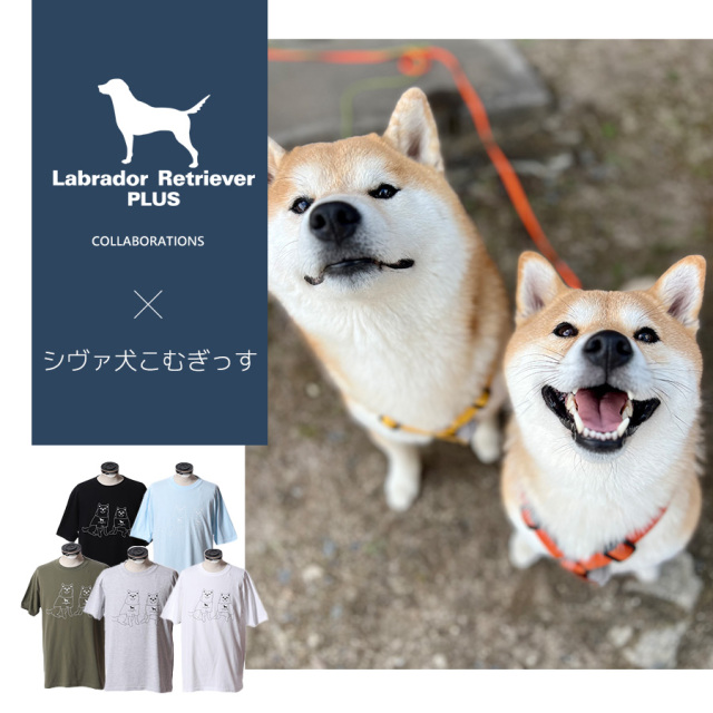 受注期間限定！シヴァ犬こむぎっすコラボ企画！コラボ半袖Tシャツ◆シヴァ犬こむぎっす
