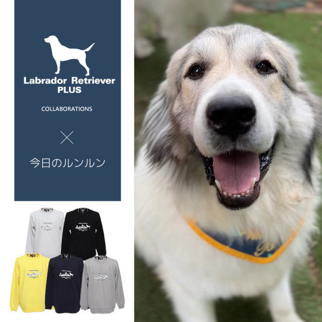 受注期間限定！今日のルンルンコラボ企画！コラボトレーナー◆今日のルンルン