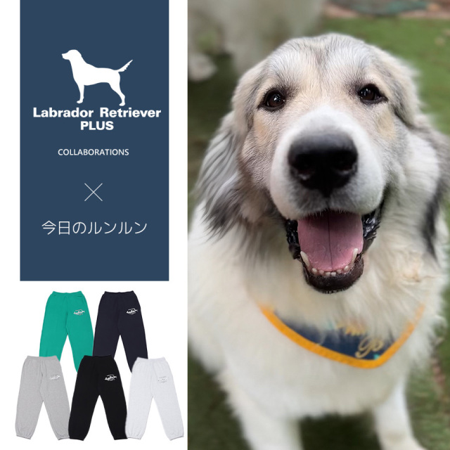 受注期間限定！今日のルンルンコラボ企画！コラボスウェットパンツ◆今日のルンルン