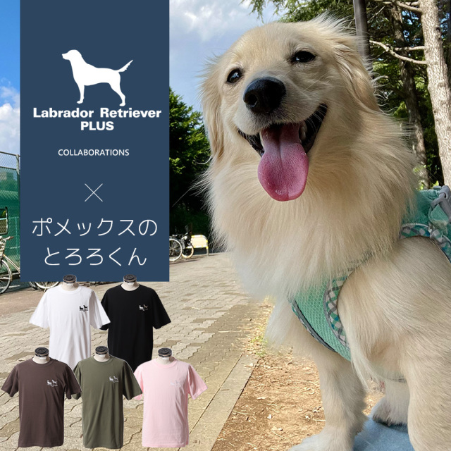 受注期間限定！ポメックスのとろろくんコラボ企画！コラボ半袖Tシャツ◆ポメックスのとろろくん