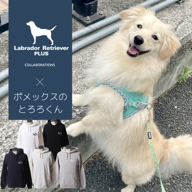 受注期間限定！ポメックスのとろろくんコラボ企画！コラボプルオーバーパーカー◆ポメックスのとろろくん