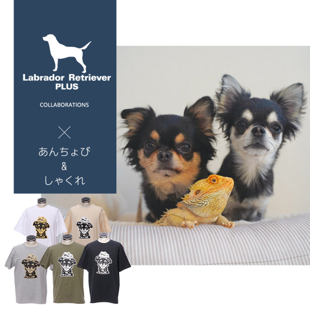 受注期間限定！あんちょび & しゃくれコラボ企画！コラボ半袖Tシャツ◆あんちょび & しゃくれ