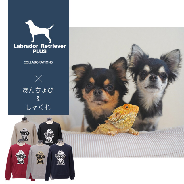 受注期間限定！あんちょび & しゃくれコラボ企画！コラボトレーナー◆あんちょび & しゃくれ