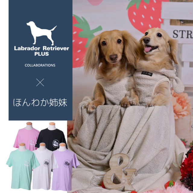受注期間限定！ほんわか姉妹コラボ企画！コラボ半袖Tシャツ◆ほんわか姉妹