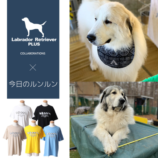 受注期間限定！今日のルンルンコラボ企画第2弾！コラボ半袖Tシャツ◆今日のルンルン