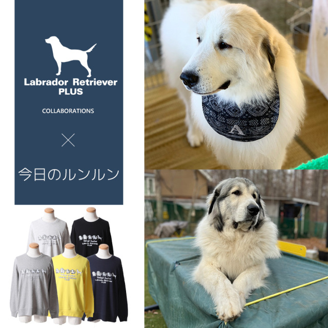 受注期間限定！今日のルンルンコラボ企画第2弾！コラボトレーナー◆今日のルンルン