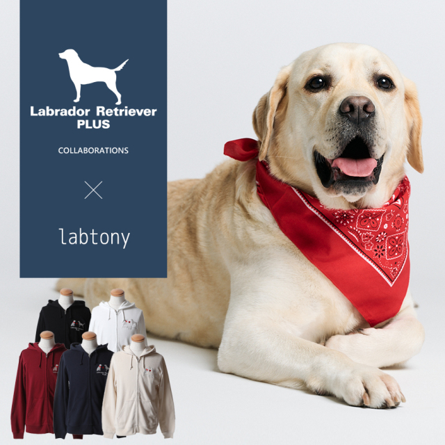 受注期間限定！labtonyコラボ企画！コラボZIPパーカー◆labtony
