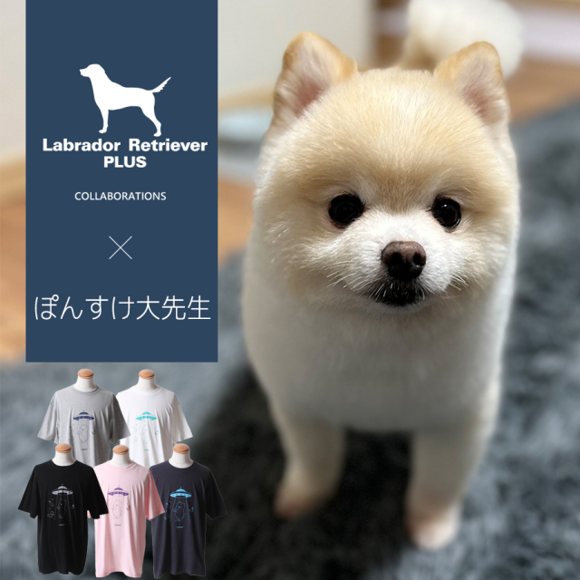 受注期間限定！ぽんすけ大先生コラボ企画！コラボ半袖Tシャツ◆ぽんすけ大先生
