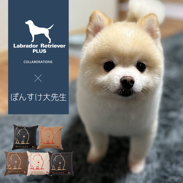 受注期間限定！ぽんすけ大先生コラボ企画！コラボクッション◆ぽんすけ大先生