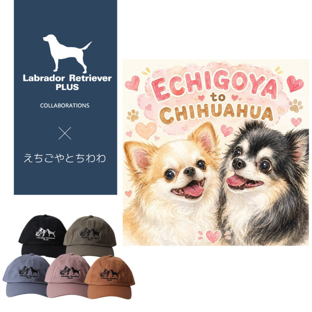 受注期間限定！えちごやとちわわコラボ企画！コラボキャップ◆えちごやとちわわ