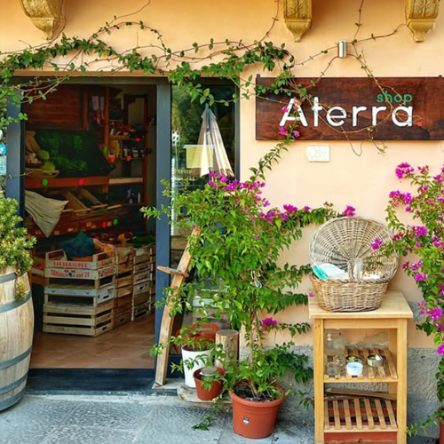 ア・テッラ　古代小麦のパスタ