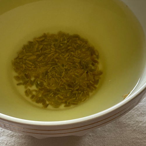 フェンネルシード