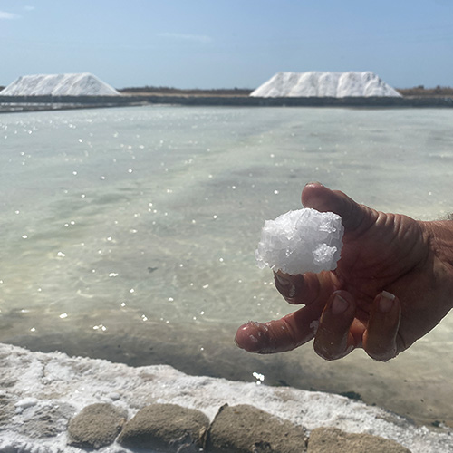 シチリア天日海塩