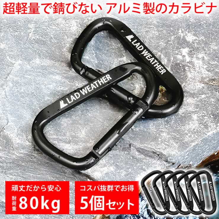 カラビナ キーホルダー [ 軽量で錆びないアルミ製 コスパ抜群の5個セット 耐荷重80kgで重い物も安心 ] キャンプ アウトドア 登山 防災 キーリング キャンプ用品 登山用品 防災グッズ 釣り道具 小型 キーチェーン dリング おしゃれ 旅行 便利グッズ LAD WEATHER ラドウェザー