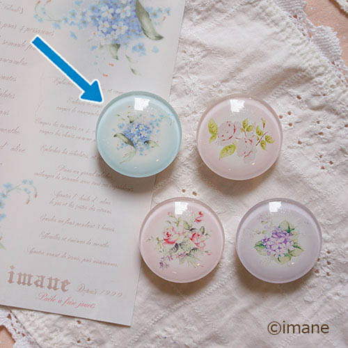 クラリス　マグネット　[定番商品][ご予約商品]