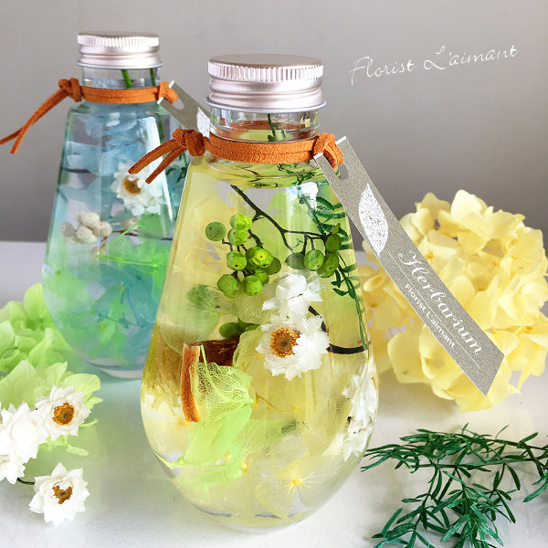 エアリー（イエロー）01