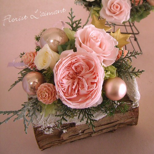 ビッシュドノエル01