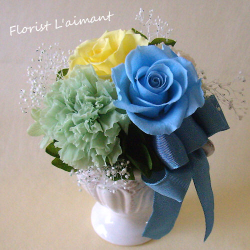 フルーリー（ブルー）01