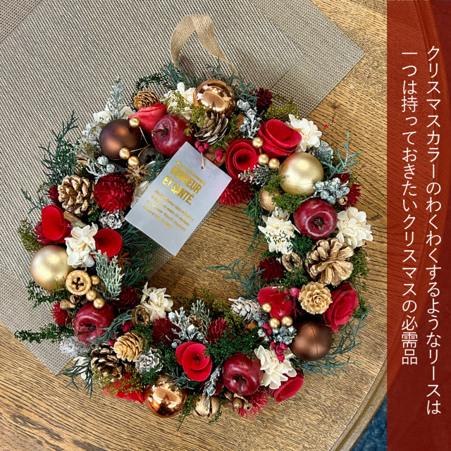 クリスマスリース 2023 ドア飾り 玄関 大きめ Lサイズ お洒落 北欧