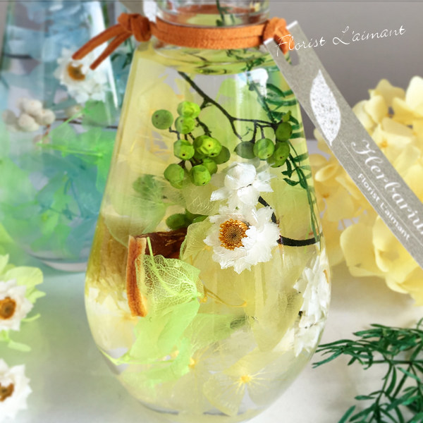 エアリー（イエロー）02