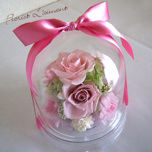 チャーム （サクラ）01