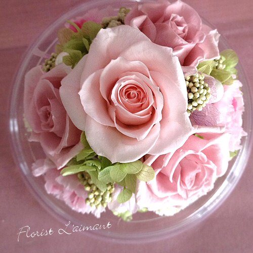 チャーム （サクラ）03