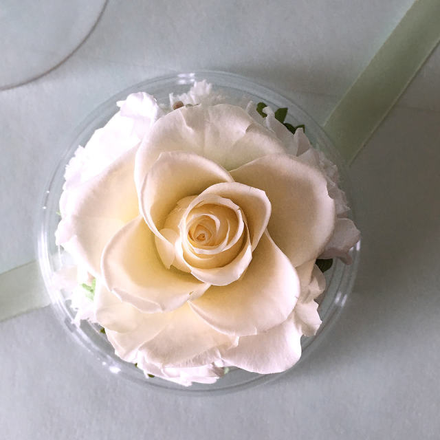 お供えやお悔やみにおすすめのドーム型プリザーブドフラワー｜チャーム