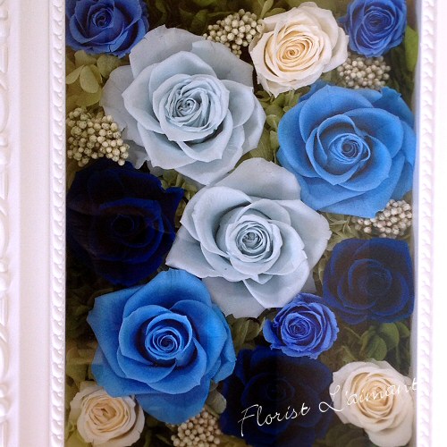 ヨーロピアンフレーム・ミディアム（ブルー）02