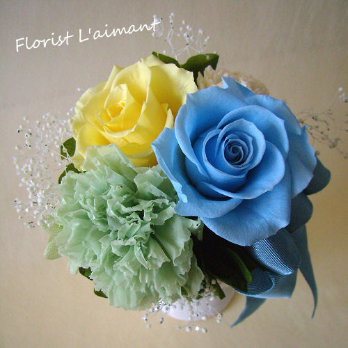 フルーリー（ブルー）02