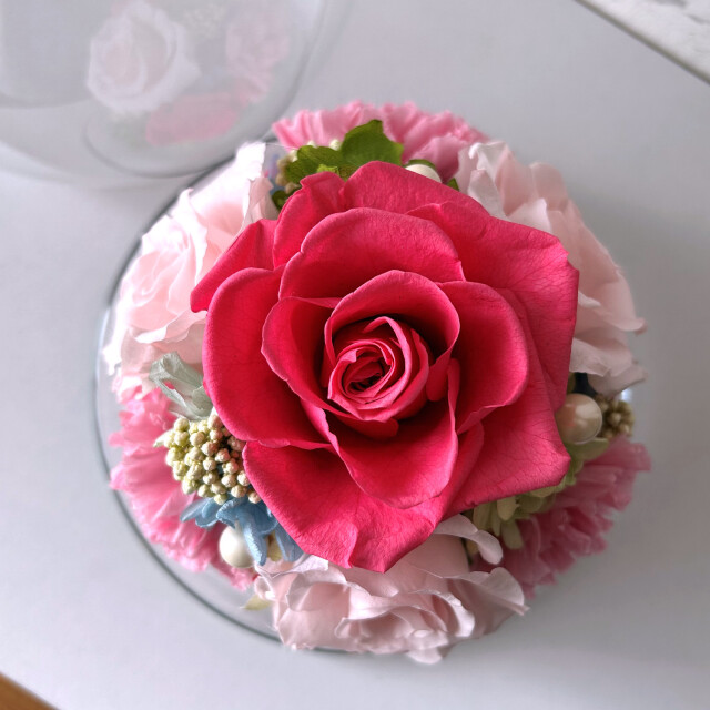 プリザーブドフラワー ドーム ピンク 誕生日 結婚祝い 両親贈呈品 新築