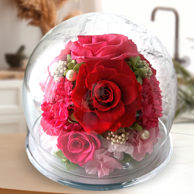 グレイス（レッド）01