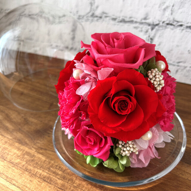 グレイス（レッド）02