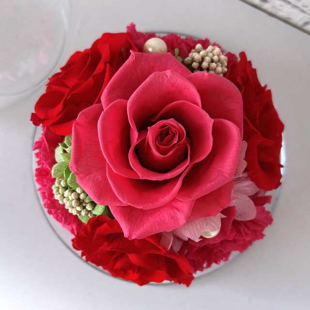 グレイス（レッド）03