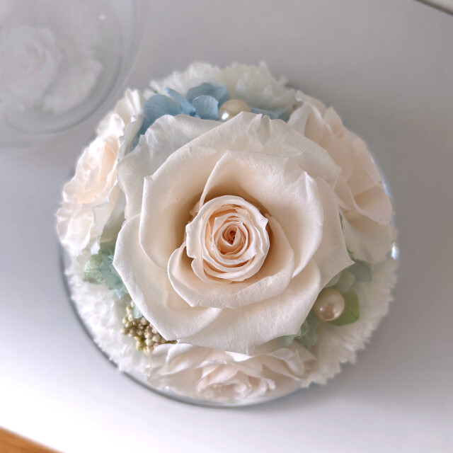 グレイス（ホワイト）03