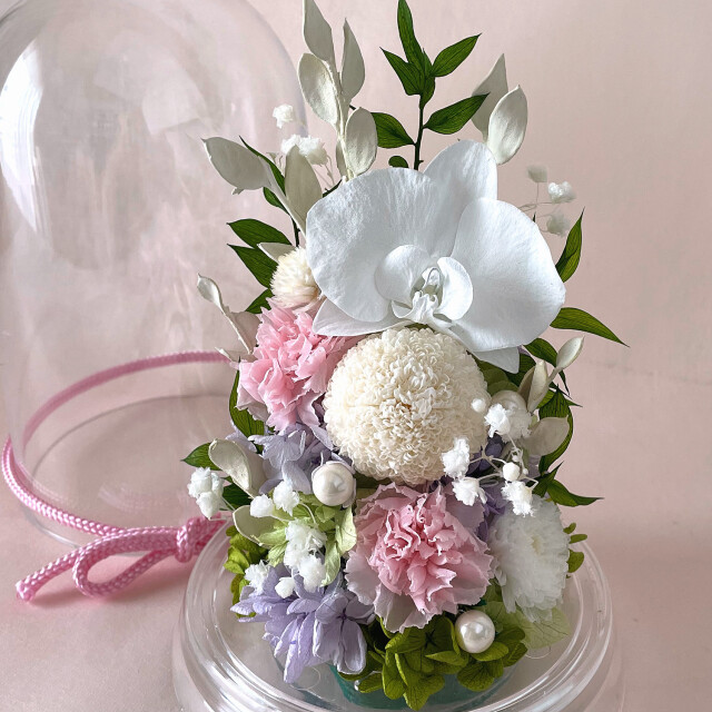 お供えや仏花にコチョウランのドーム型プリザーブドフラワー お供えや仏花にコチョウランのドーム型プリザーブドフラワー