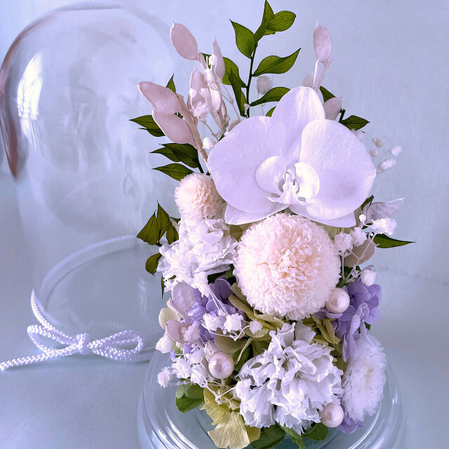 プリザーブドフラワー 胡蝶蘭 御供 お悔み ドーム 花 はるか ピンク