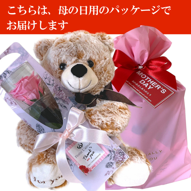 くまさんとバラ