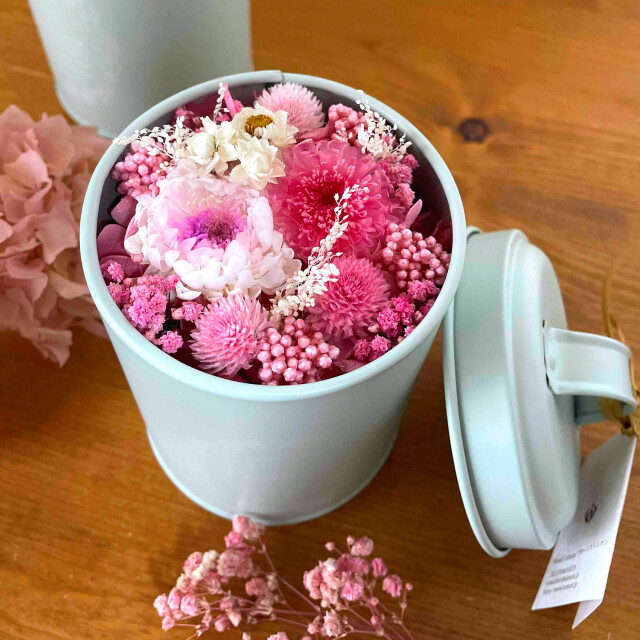 ミンティ（チェリー）01