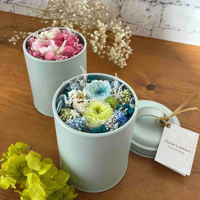 ミンティ（ミント）01