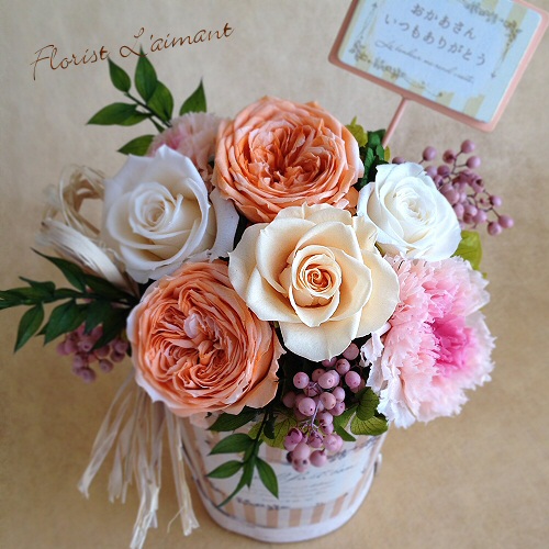 マミー・アプリコット02