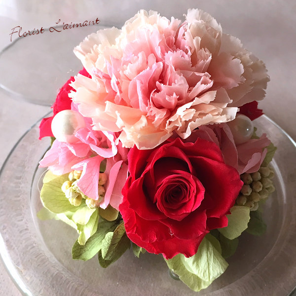 マミードーム（ピーチ）02